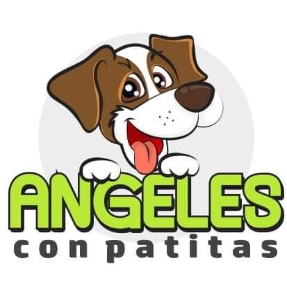 logo_20607142522